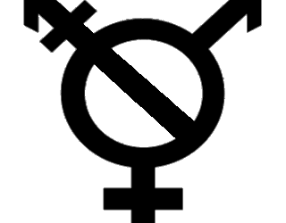 Pluralogue 22: Gender revolution