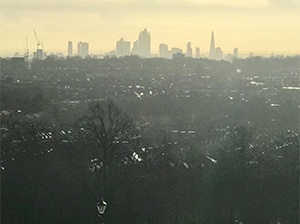 Morning view from Alexandra Palace