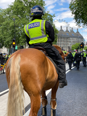 Police officer on a horse in central London 