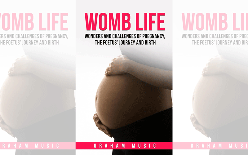 Cover of the book 'Womb Life', showing a woman holding her own naked, pregnant tummy